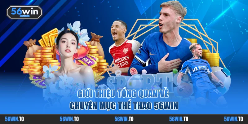 Giới thiệu tổng quan về chuyên mục thể thao 56WIN
